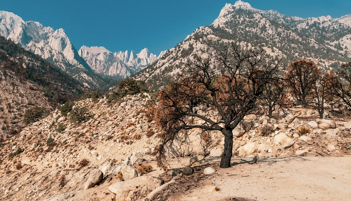 The Barren Land of Hellfire & Brimstone